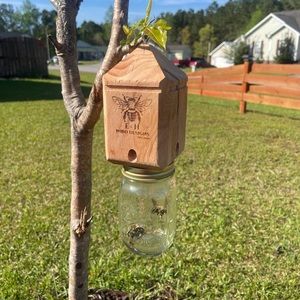 Carpenter bee trap